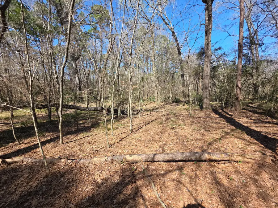 TBD Blanks Bend, Coldspring, TX 77331 - #3