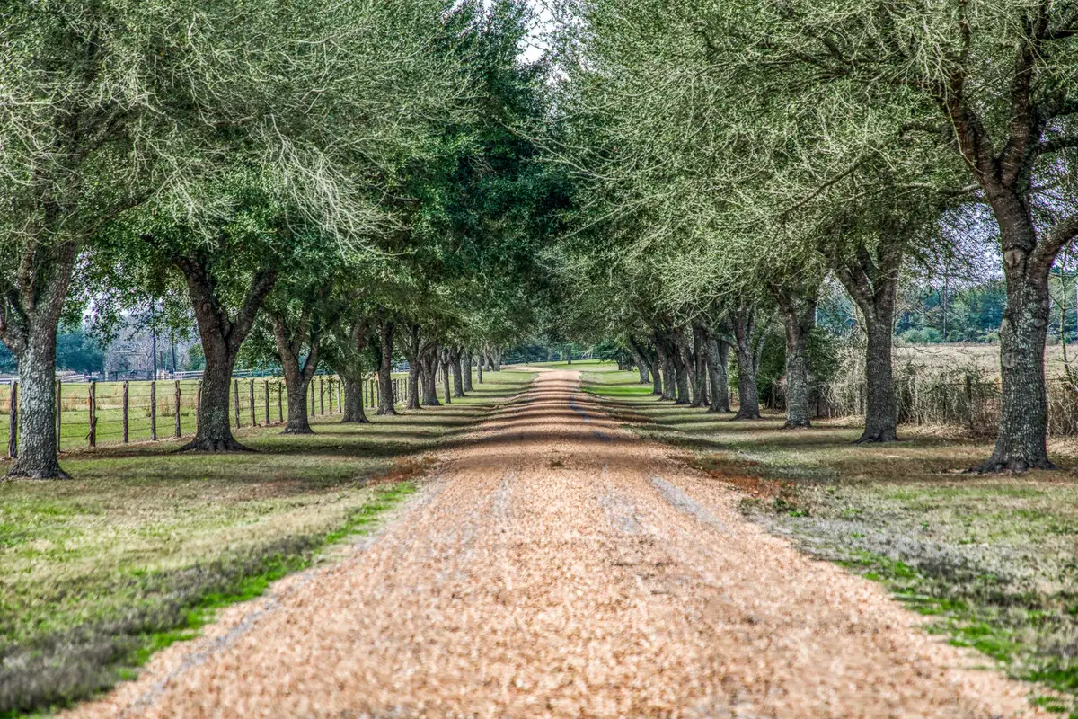 16450 Mathis Road, Waller, TX 77484 - Image #1