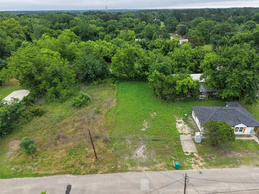 179 Mill Street, Willis, TX 77378 - #3
