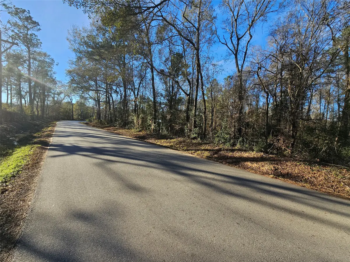 Lot 1 Sherwood Drive, Shepherd, TX 77371 - #1