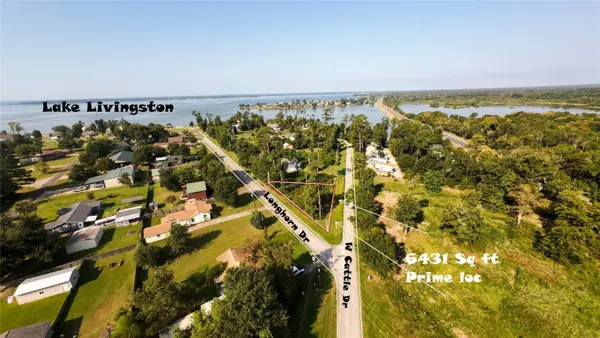 186 N Cattle Drive, Onalaska, TX 77360