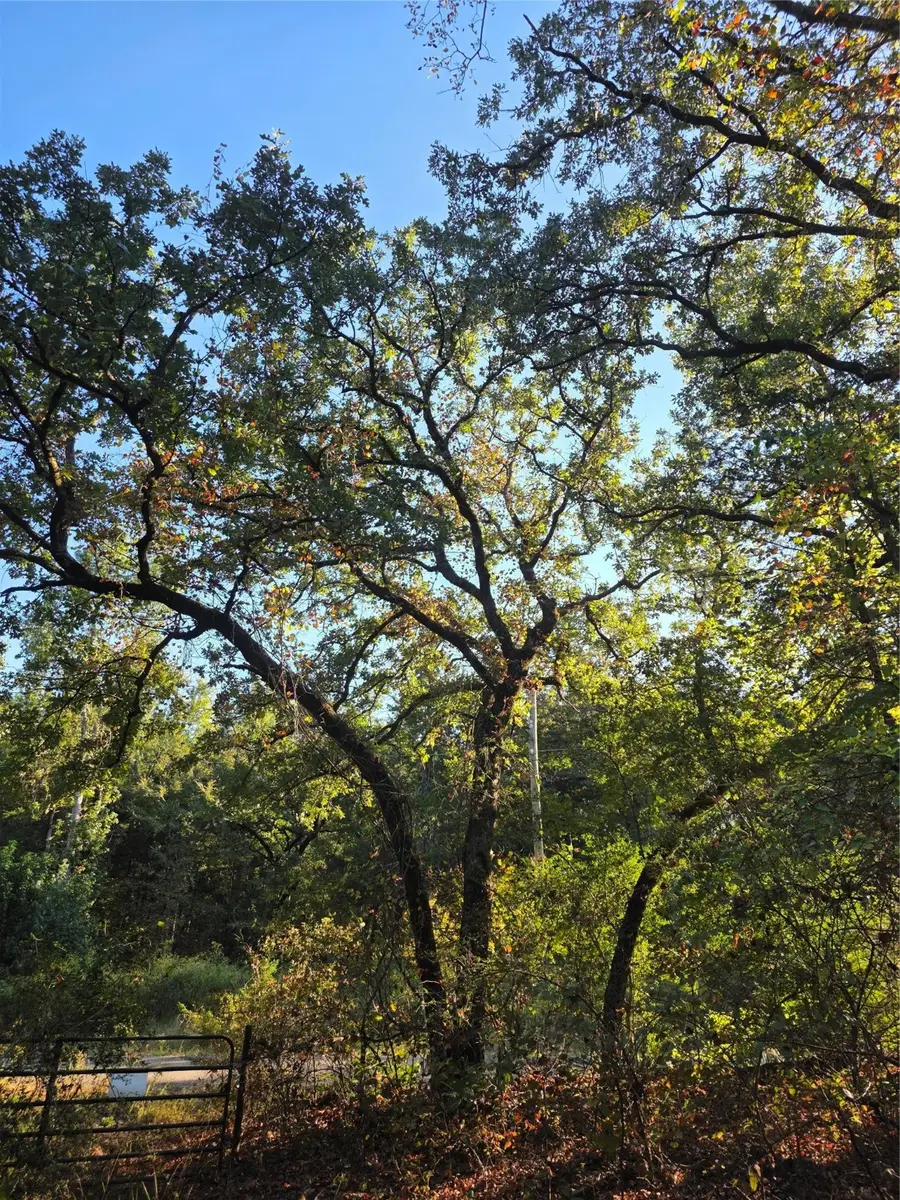 Lot 466 Cr-4710, Larue, TX 75770 - #2