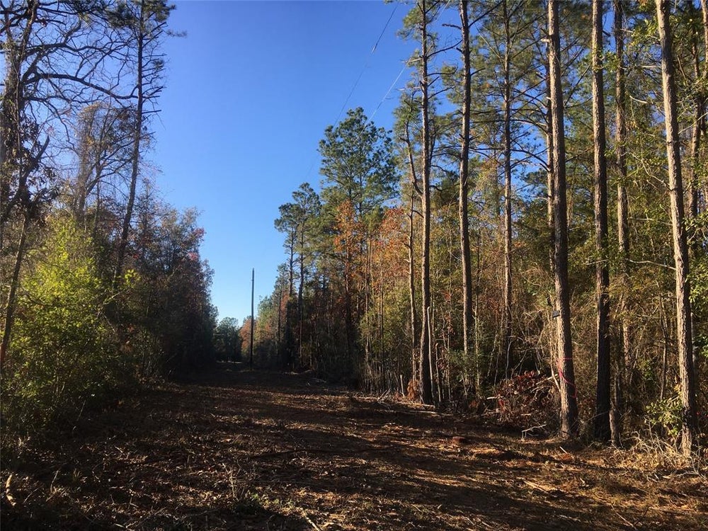 0 Fm 1416, Bon Wier, TX 75928 ERA