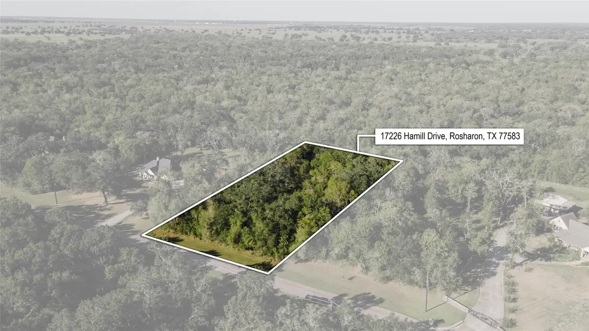 17226 Hamill Drive, Rosharon, TX 77583 - #1
