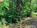 1023 S Peach Avenue, Tyler, TX 75701 - #3