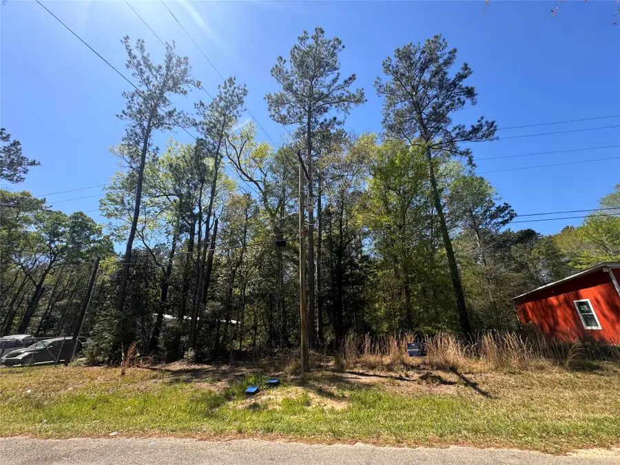 TBD River Jordan Drive, Shepherd, TX 77371 - #2