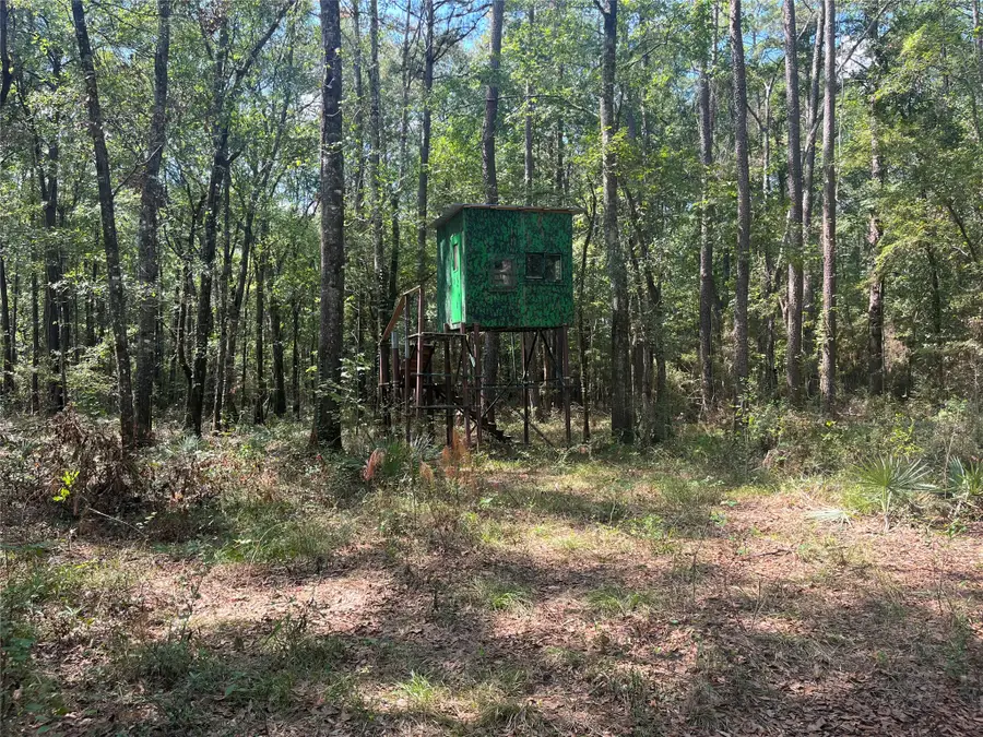 0 Winter Creek, Cleveland, TX 77328 - #3