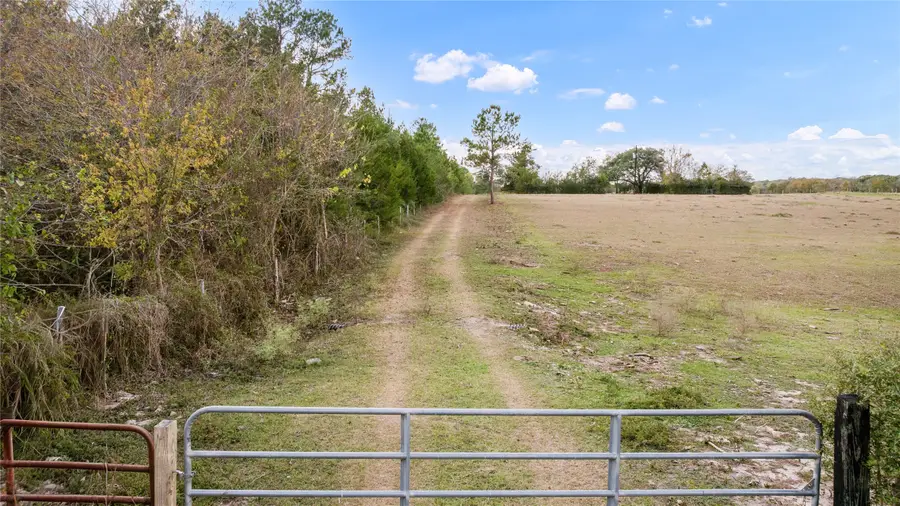 TBD Fm 2445, Navasota, TX 77868 - Image #3