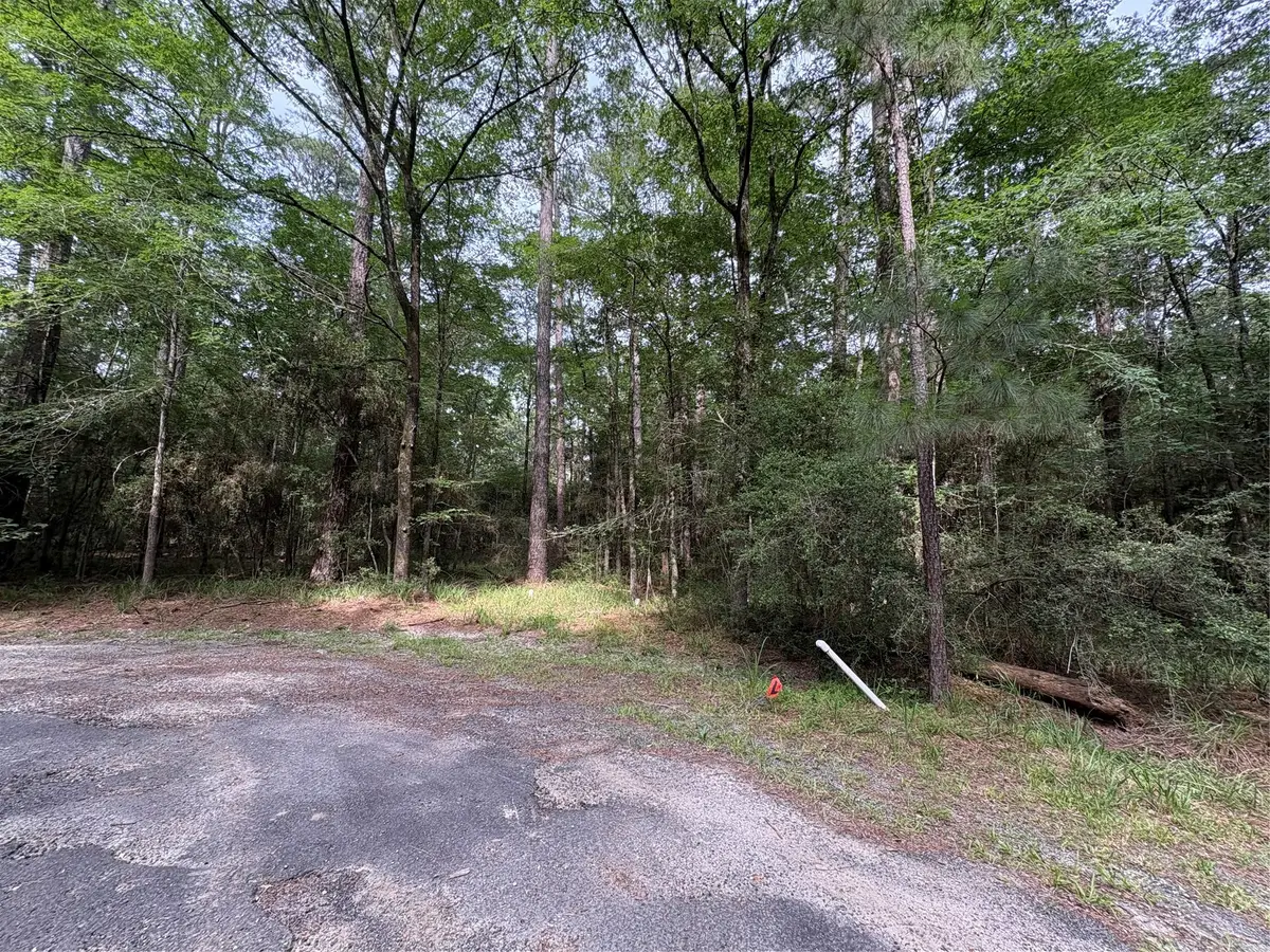 TBD N Clear Spring Road, Trinity, TX 75862 - #1
