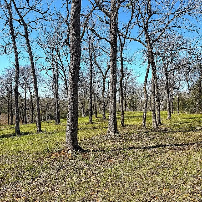 1264 County Road 1463, Centerville, TX 75833 - #1