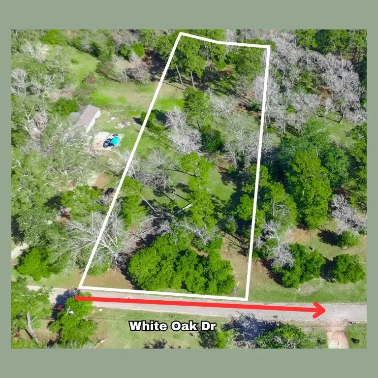 103 White Oak Drive, Woodbranch, TX 77357 - #2