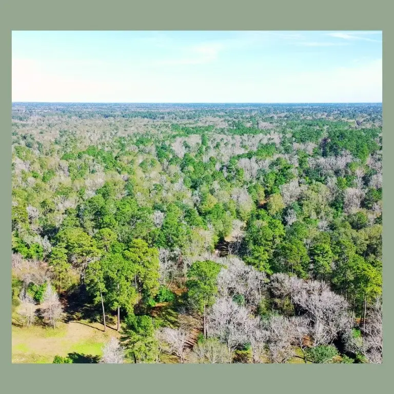 103 White Oak Drive, Woodbranch, TX 77357 - #3