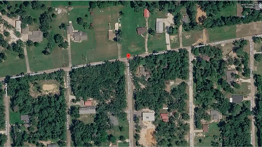 TBD Mimosa, Onalaska, TX 77360 - #2