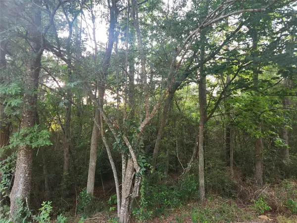 Lot 16 Weeping Willow Lane, Plantersville, TX 77363