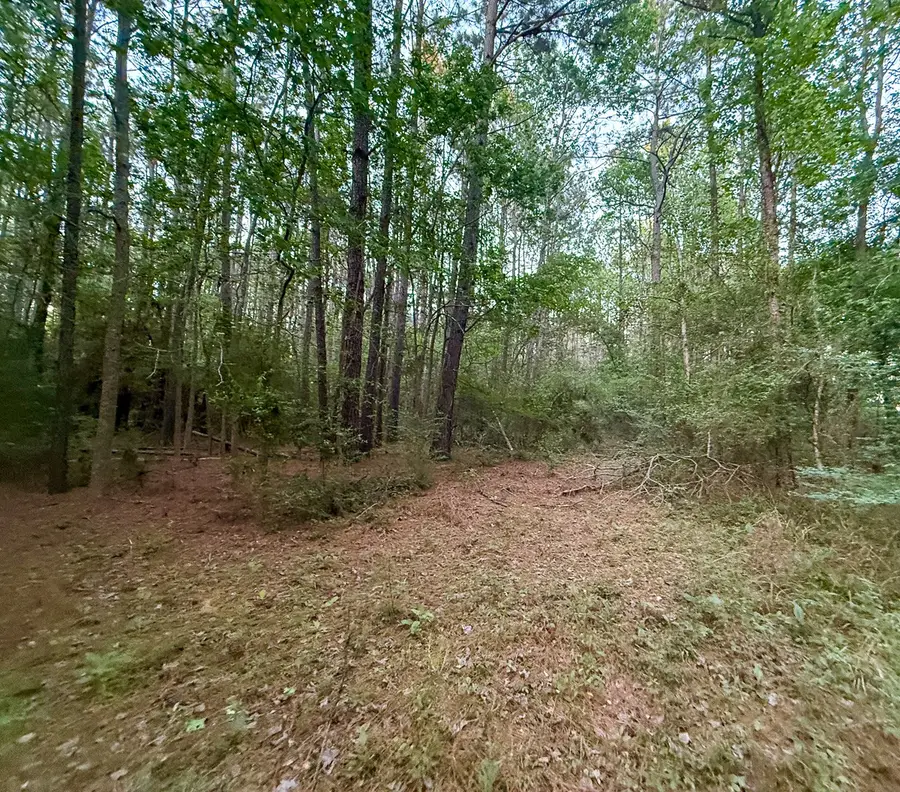 1 Sh 75 South, Huntsville, TX 77340 - #2