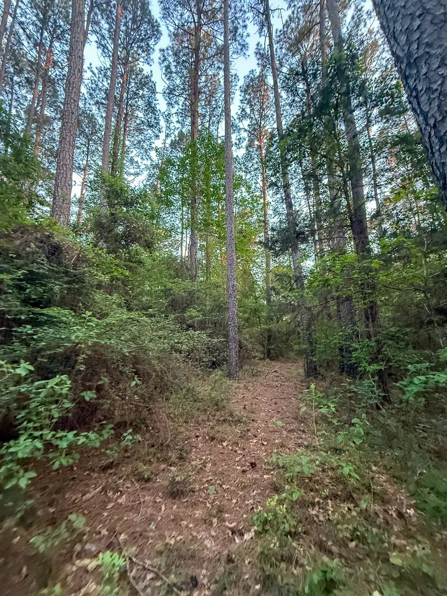 1 Sh 75 South, Huntsville, TX 77340 - #3