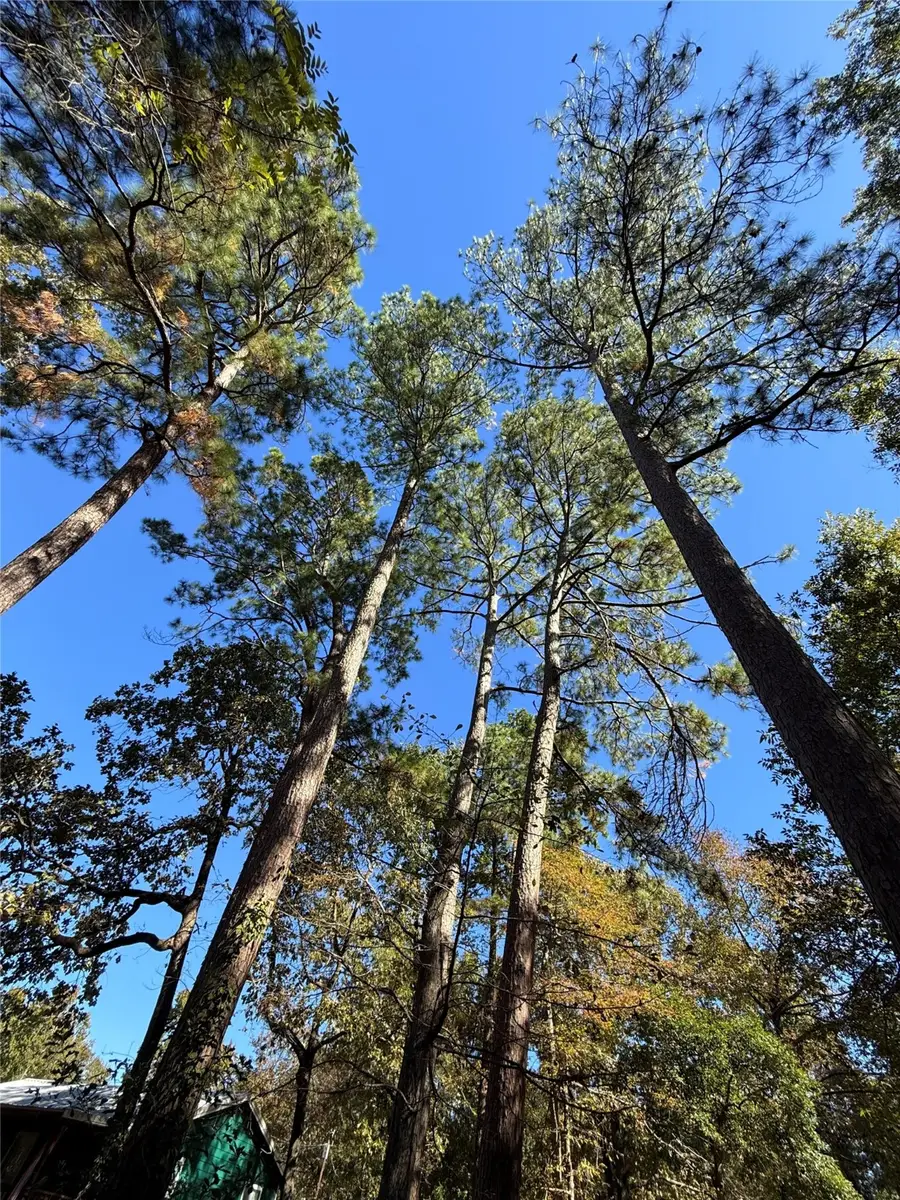 0 Alabama, Onalaska, TX 77360 - Image #2