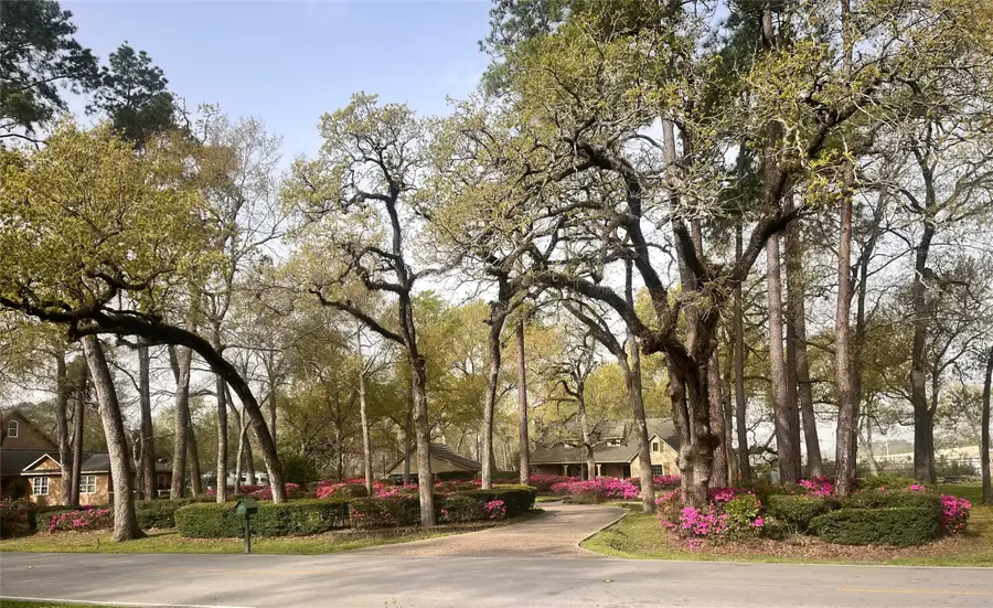 13835 Jarvis Road, Cypress, TX 77429 - Image #2