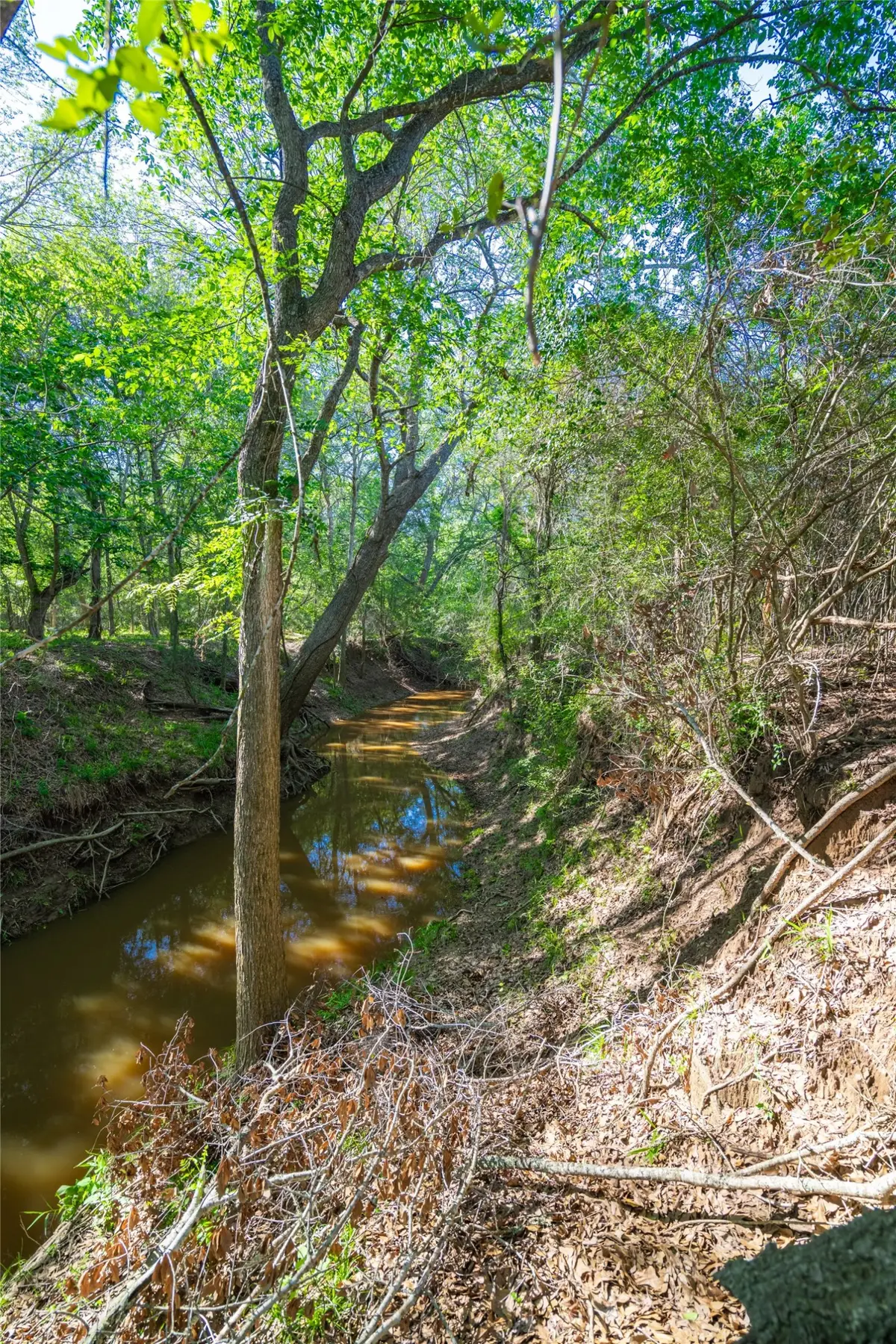 0 Sparta Field Road, Waelder, TX 78959 - #1