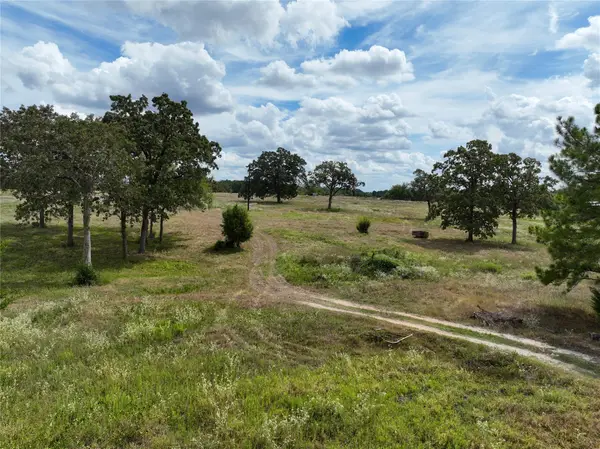 6275 County Road 206, Plantersville, TX 77363