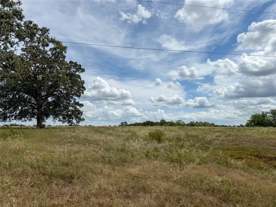 6275 County Road 206, Plantersville, TX 77363 - #3