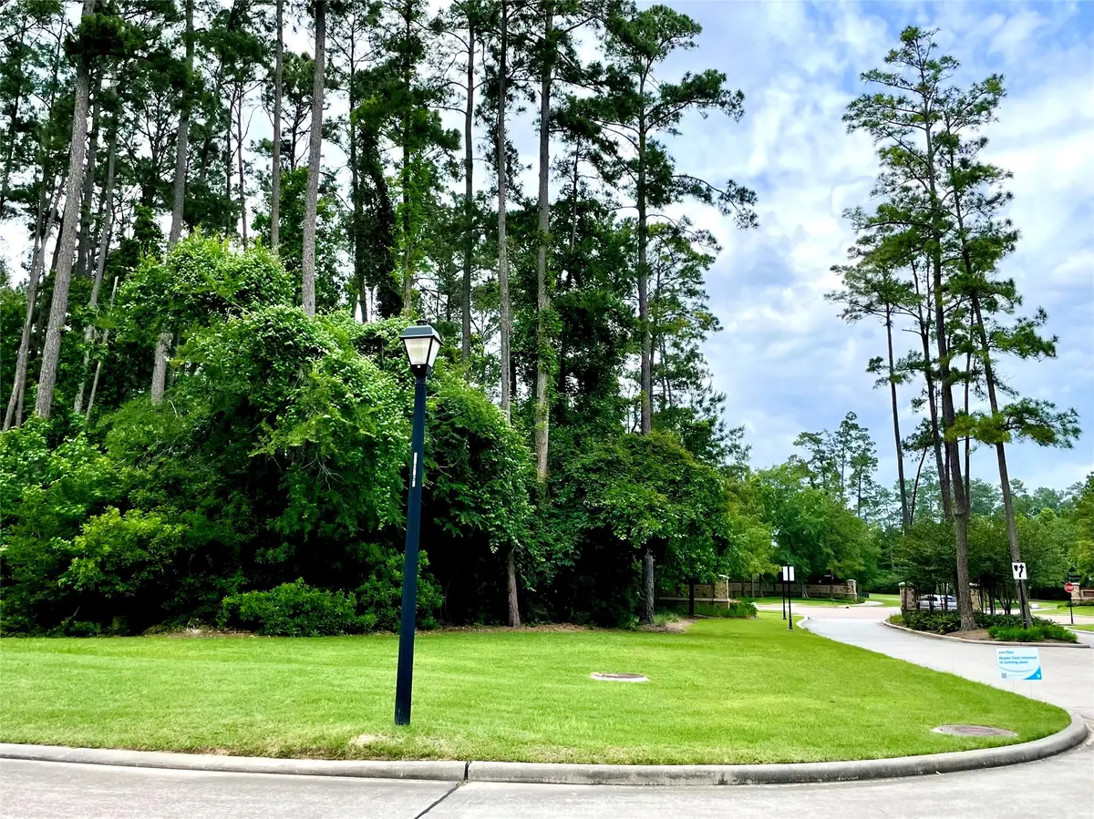 67 N Glenwild Circle, Spring, TX 77389 - #1