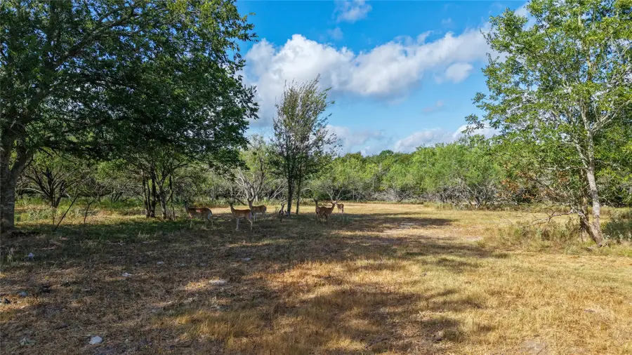 Tract 1 Tbd Mensik Rd, Bryan, TX 77808 - #3