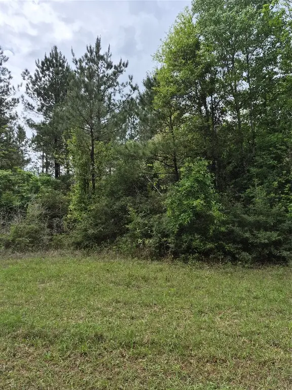 0002 Tbd E Schwab Road, Livingston, TX 77351 - #2