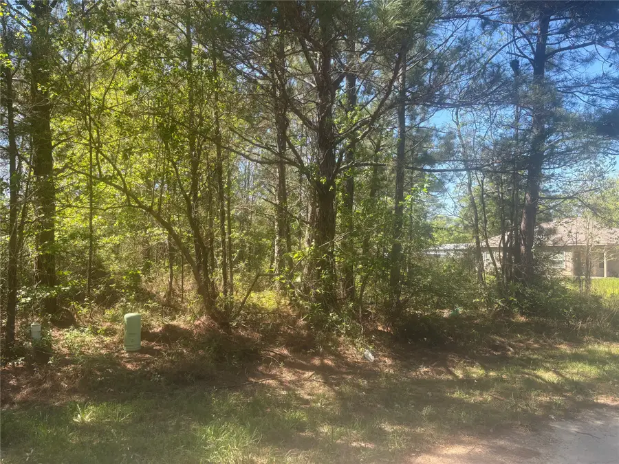 TBD Parkhurst Avenue, Cleveland, TX 77327 - #3