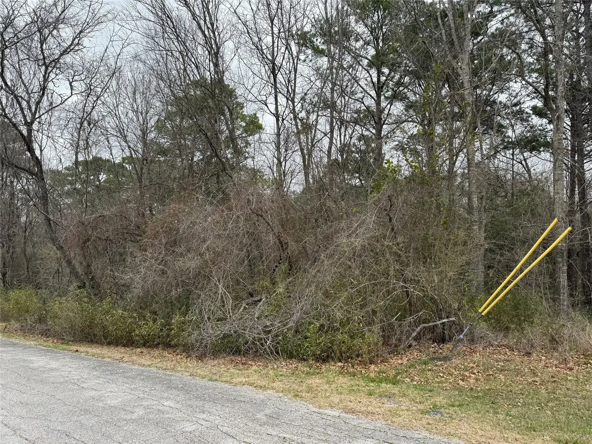 2 Clearwater Circle, Coldspring, TX 77331 - #1