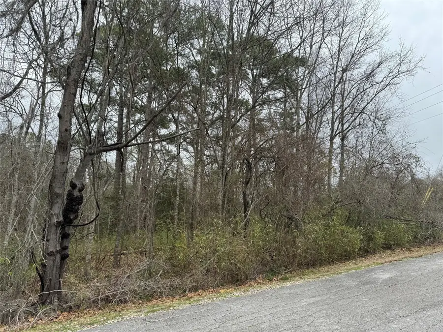 2 Clearwater Circle, Coldspring, TX 77331 - #2
