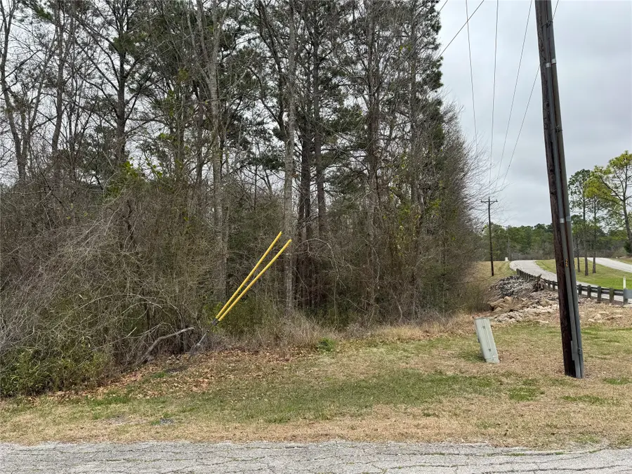 2 Clearwater Circle, Coldspring, TX 77331 - #3
