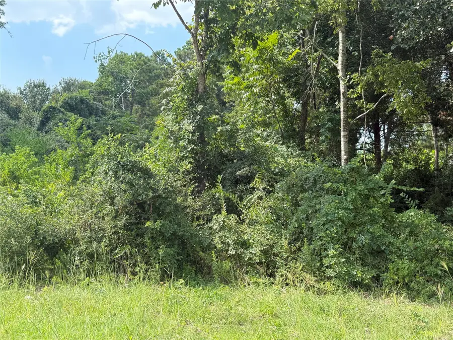 0 Mechanic Road, Tomball, TX 77375 - Image #3