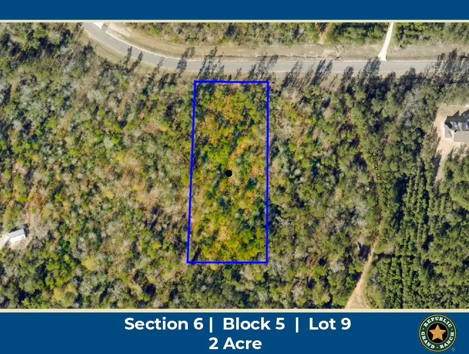 11794 Grand North Road, Willis, TX 77378 - #1