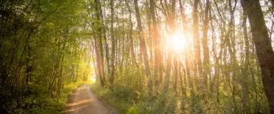 2039 Forest Stream Way, Conroe, TX 77304 - #3