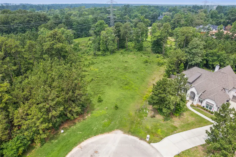 4406 Chateau Creek Way, Spring, TX 77386 - #2