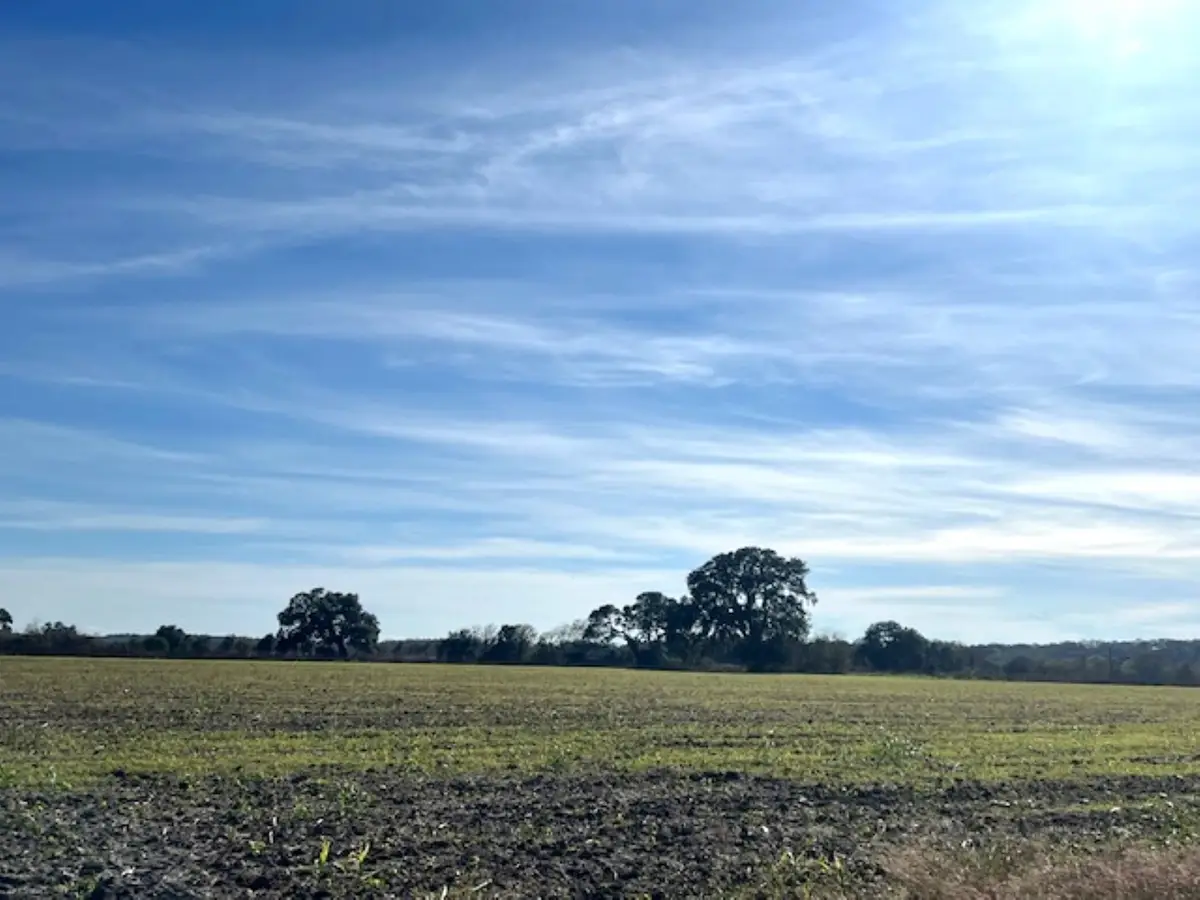 28 Acres Shaws Bend Road, Columbus, TX 78934 - Image #1