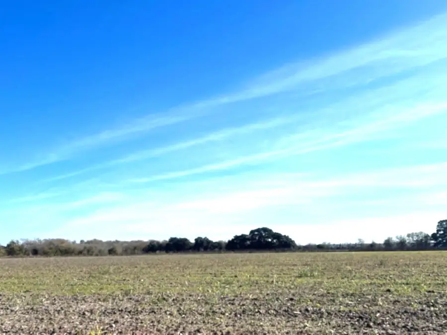 28 Acres Shaws Bend Road, Columbus, TX 78934 - Image #2