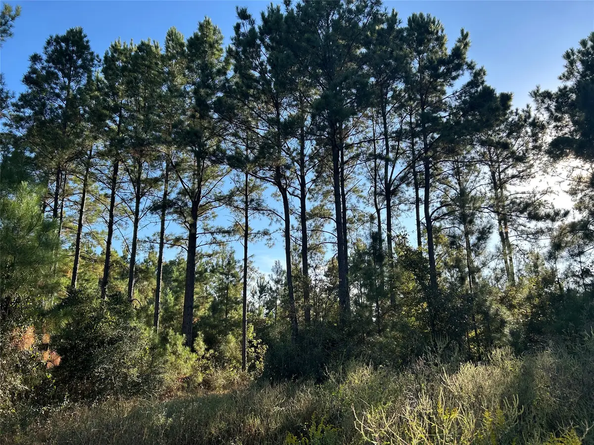 Tract 11 Fm 230, Lovelady, TX 77854 - #1