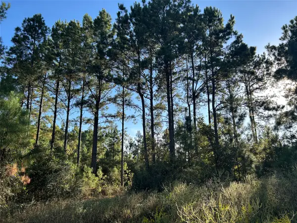 Tract 11 Fm 230, Lovelady, TX 77854
