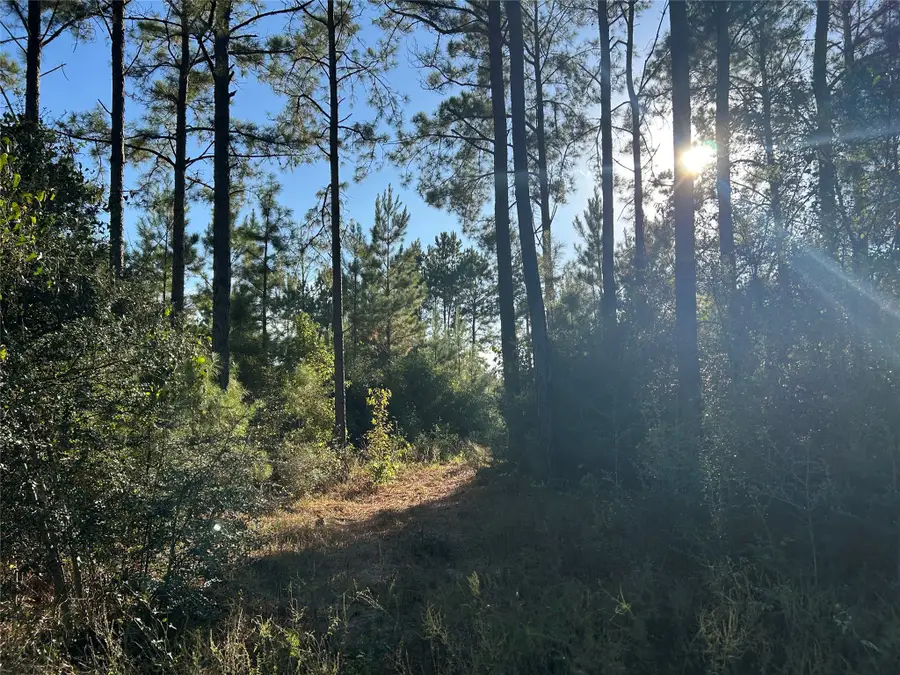 Tract 11 Fm 230, Lovelady, TX 77854 - #2
