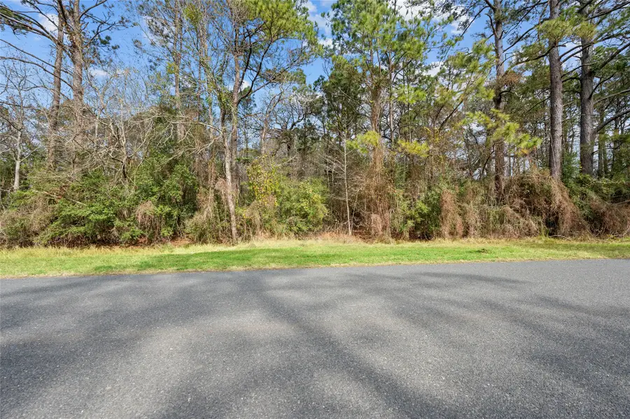 0 Lake Charlotte Road, Wallisville, TX 77597 - #3
