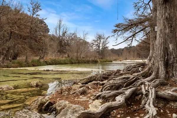 117 Cedar Ridge Road, Uvalde, TX 78801