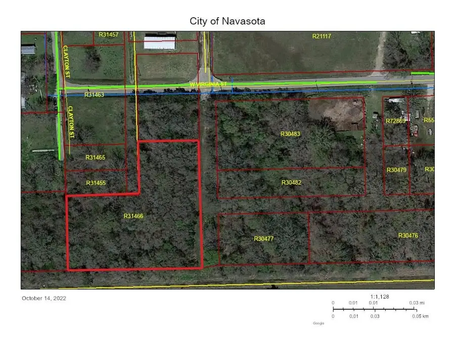 0000 Peeples Street, Navasota, TX 77868 - #3