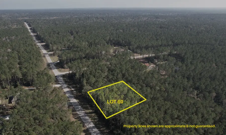 12-22-60 Granite Road, Huntsville, TX 77340 - Image #2