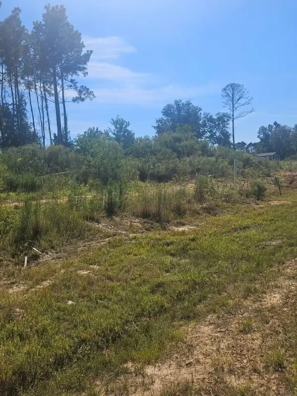 2055 Road 5913, Cleveland, TX 77327 - #3