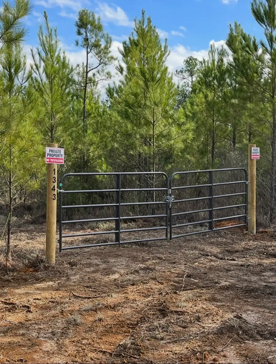 10343 Private Road 8012, Bronson, TX 75930 - #2