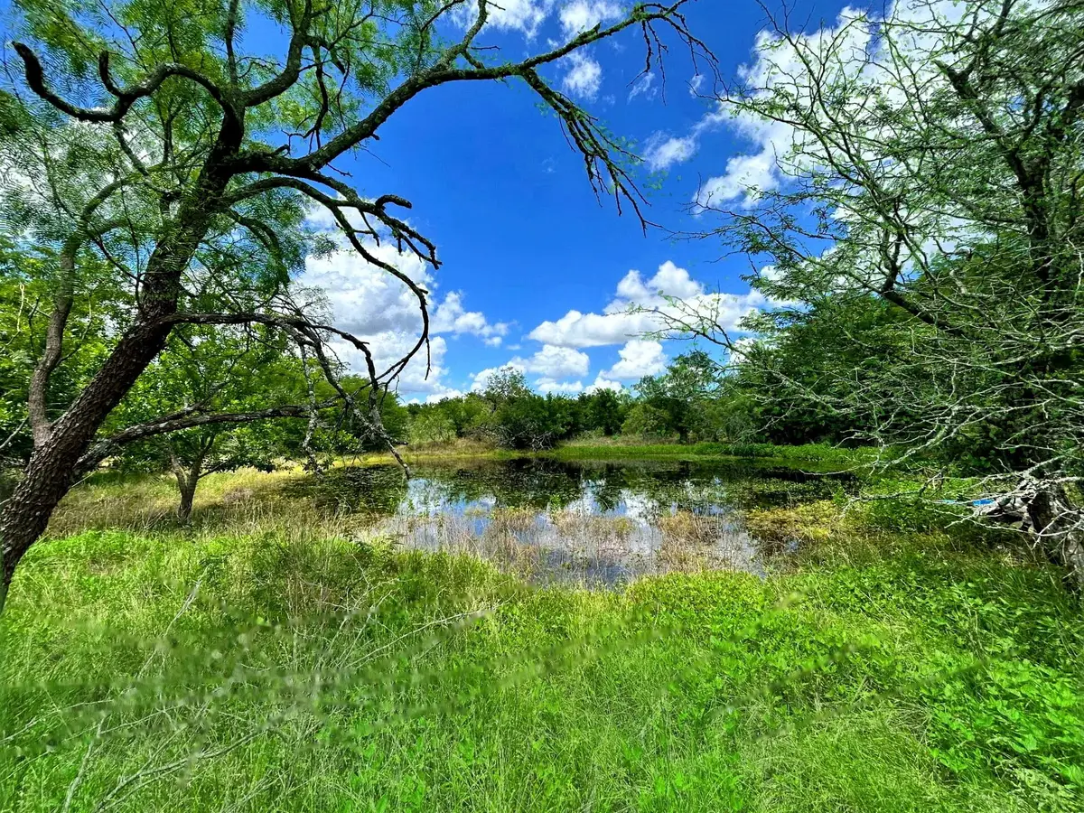 1127 Lcr 607, Groesbeck, TX 76642 - #1