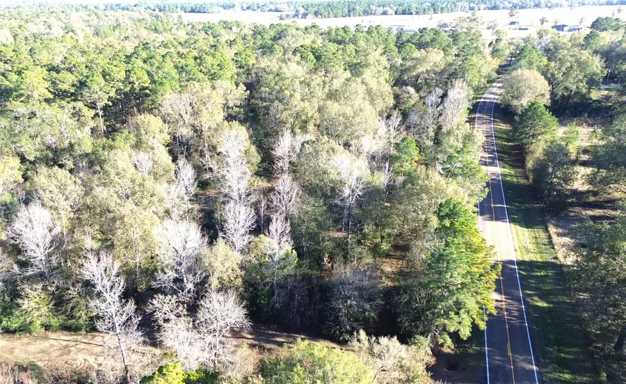 TBD Fm 1280 E, Lovelady, TX 75851 - Image #3