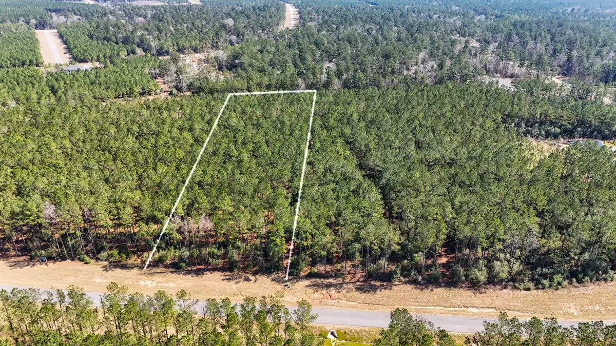 15422 Forest Grove Drive, Willis, TX 77378 - #1
